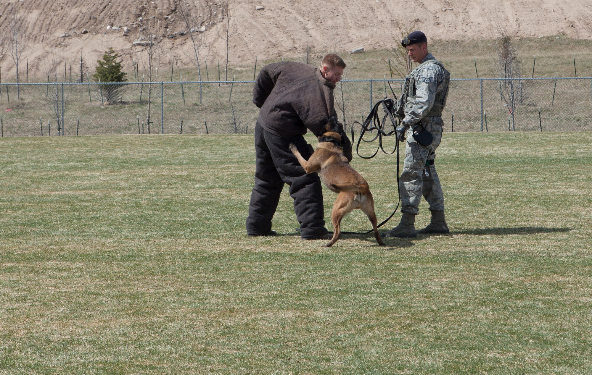 Laso, 90th Security Forces Squadron military working dog, bites Senior Airman Jeremy Mayerhofer during a working dog demonstration at Freedom Elementary School, Cheyenne, Wyo., April 21, 2015. Ninetieth SFS's K-9 unit showcased their tactics and techniques to familiarize students with the dogs' mission. Ninetieth SFS is stationed with 90th Missile Wing on F.E. Warren Air Force Base, Wyo. (U.S. Air Force photo by Lan Kim)
