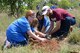 Reece Fleming (Right), 9th Civil Engineer Squadron natural resource technician, and students from Lone Tree School plant a tree in celebration of Earth Day April 22, 2015, at Beale Air Force Base, Calif. Team Beale planted more than 30 native trees. (U.S. Air Force photo by Airman 1st Class Ramon A. Adelan/Released)