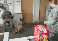 Iggy, 436th Security Force Squadron military working dog, waits for a treat from U.S. Army Capt. Amanda Jeffries, Veterinary Treatment Facility officer in charge and veterinarian, during her retirement ceremony April 22, 2015, at Dover Air Force Base, Del. Iggy has conducted searches of more than 3,000 commercial vehicles, safeguarding Dover AFB. (U.S. Air Force photo/Senior Airman Jared Duhon)  