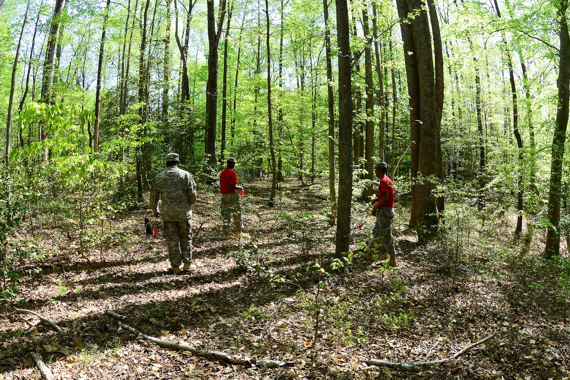 U.S. Army Soldiers search for Box Turtles as part of Earth Week at Fort Eustis, Va., April 22, 2015. The 733rd Civil Engineer Division hosted the search to count and survey how local Box Turtles are surviving. (U.S. Air Force photo by Senior Airman Kimberly Nagle/Released) 