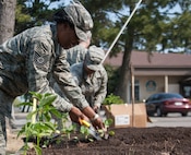 Tech. Sgt. Crystal Ballard, 8th Fighter Wing command chief executive assistant, plants lettuce in the Wolf Pack Garden in observance of Earth at Kunsan Air Base, Republic of Korea, April 22, 2015. The garden project started March 14 as part of a community initiative to promote healthy living for Wolf Pack Airmen. (U.S. Air Force photo by Tech. Sgt. George Maddon/Released)