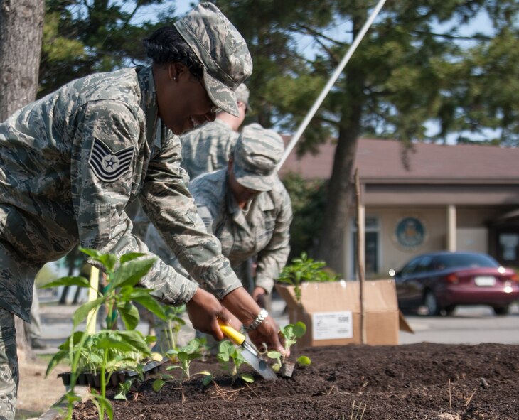 Tech. Sgt. Crystal Ballard, 8th Fighter Wing command chief executive assistant, plants lettuce in the Wolf Pack Garden in observance of Earth at Kunsan Air Base, Republic of Korea, April 22, 2015. The garden project started March 14 as part of a community initiative to promote healthy living for Wolf Pack Airmen. (U.S. Air Force photo by Tech. Sgt. George Maddon/Released)
