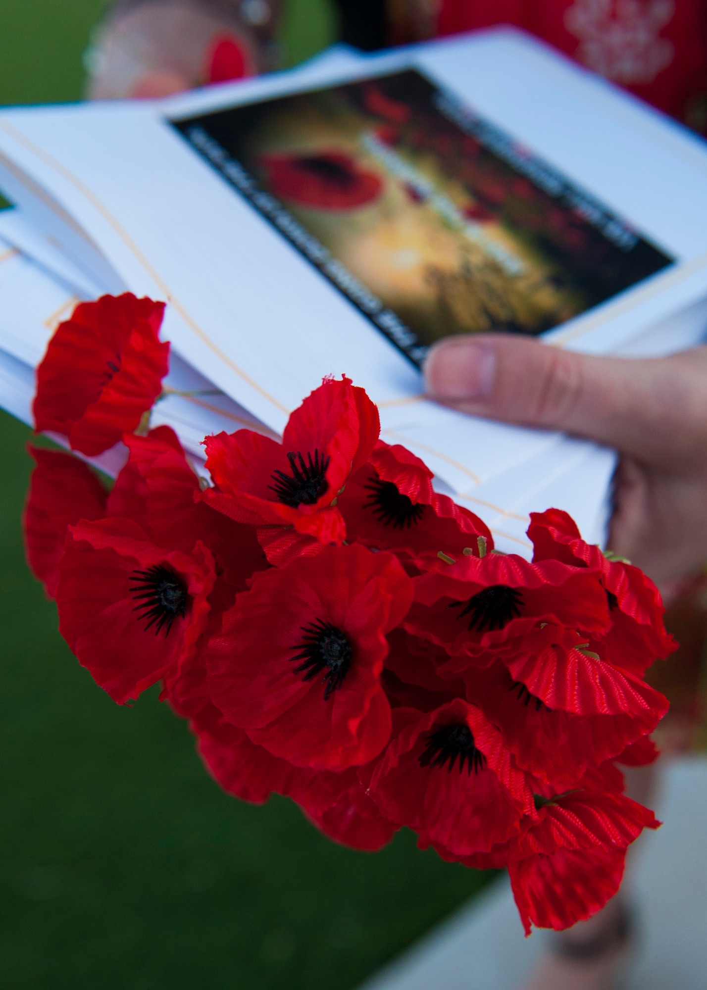 Red poppies are displayed during the Anzac Day commemorative service April 25, 2015 at Holloman Air Force Base, N.M. Anzac, short for Australian and New Zealand Army Corps, means any Australian or New Zealander who fought during World War I, specifically the battle of Gallipoli. During the service, poppies were handed to attendants to symbolize the blood that was shed during World War I. On the barren battlefield, poppies were among the first plants to bloom. (U.S. Air Force photo by Airman 1 Class Emily A. Kenney/Released)   