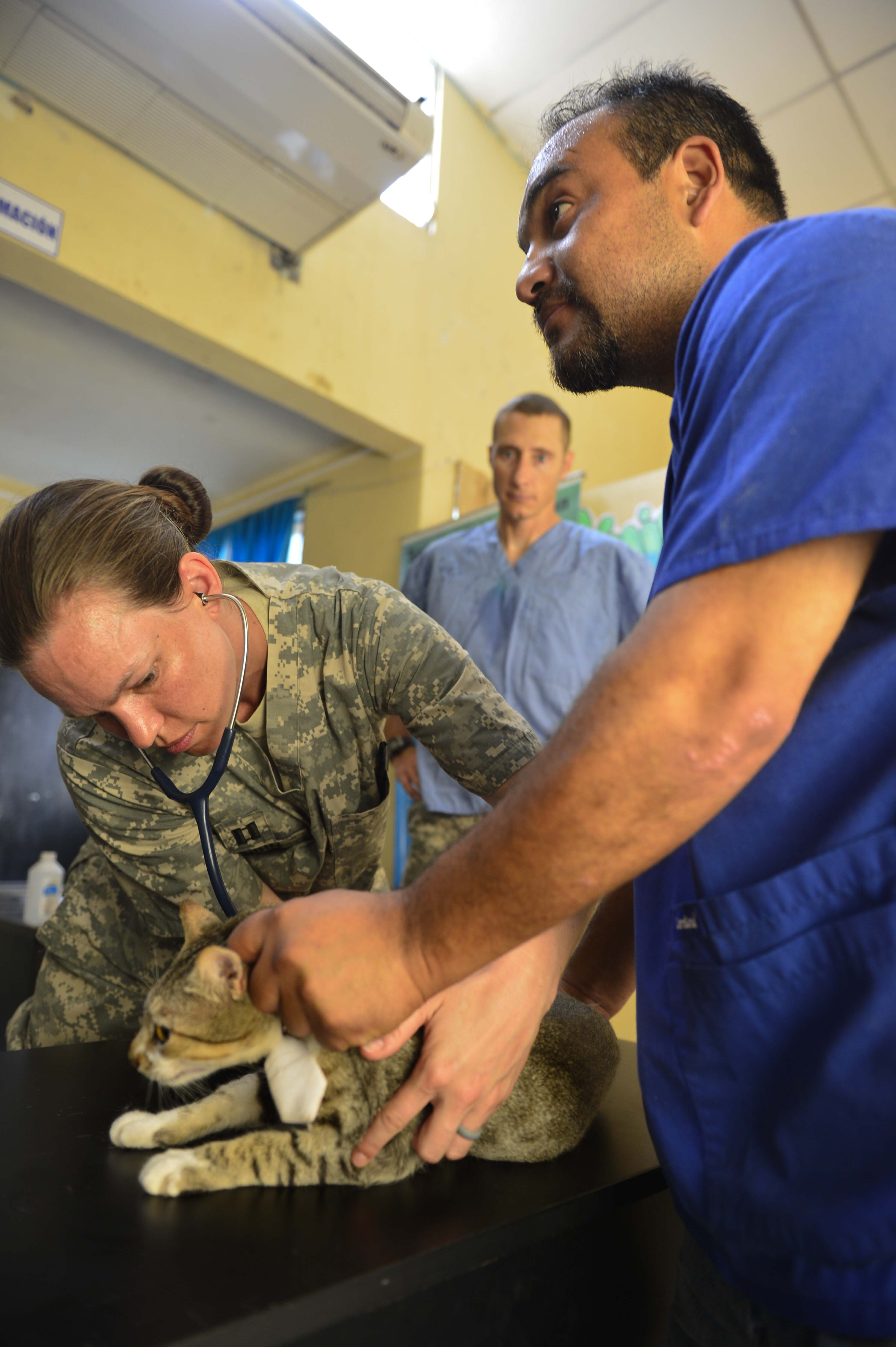 Continuing Promise, Host Nation Veterinarians, Provide Animal Care in Panama > United States