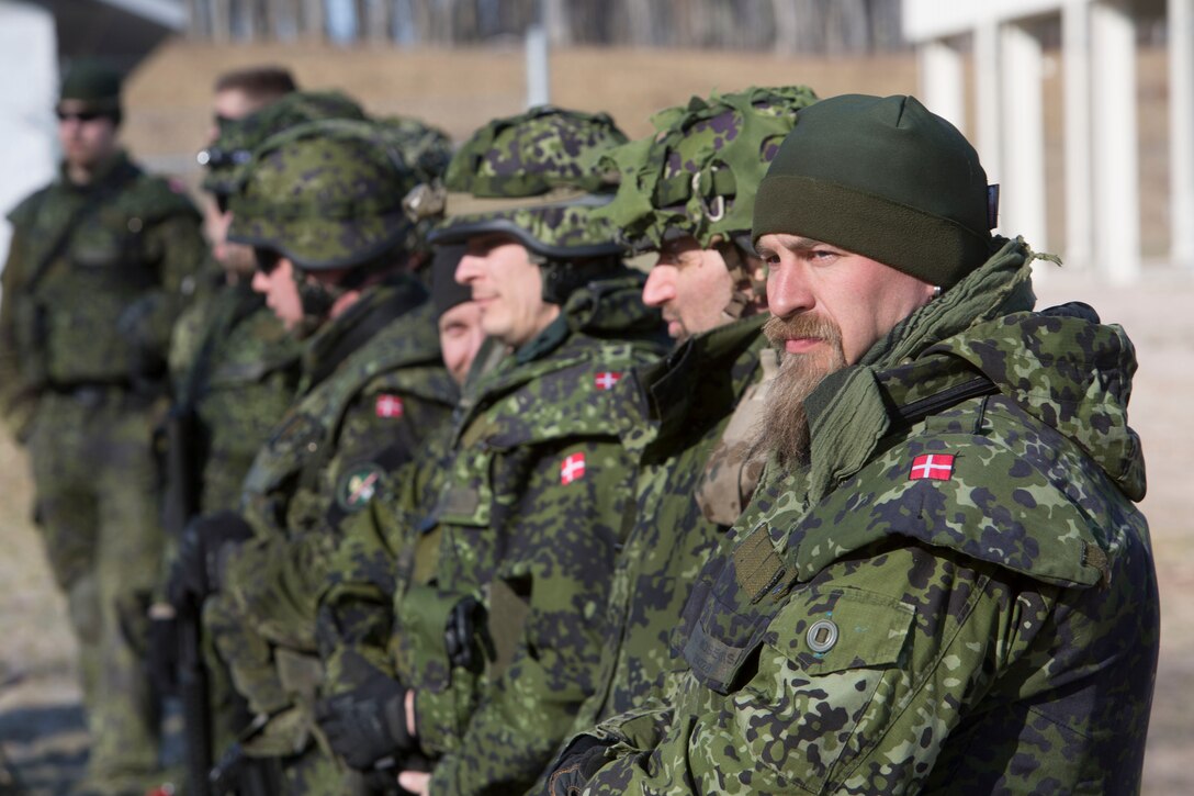 Members of the Danish Home Guard receive a safety brief prior to conducting urban warfare training at Camp Grayling, Mich., April 24, 2015. The troops joined the 24th Marine Regiment and the Michigan Army National Guard's 272nd Regional Support Group for Exercise Arctic Eagle, a joint service and international exercise designed to improve urban patrolling, stability operations and counterinsurgency tactics. (U.S. Marine Corps photo by Cpl. Ian Leones/Released)
