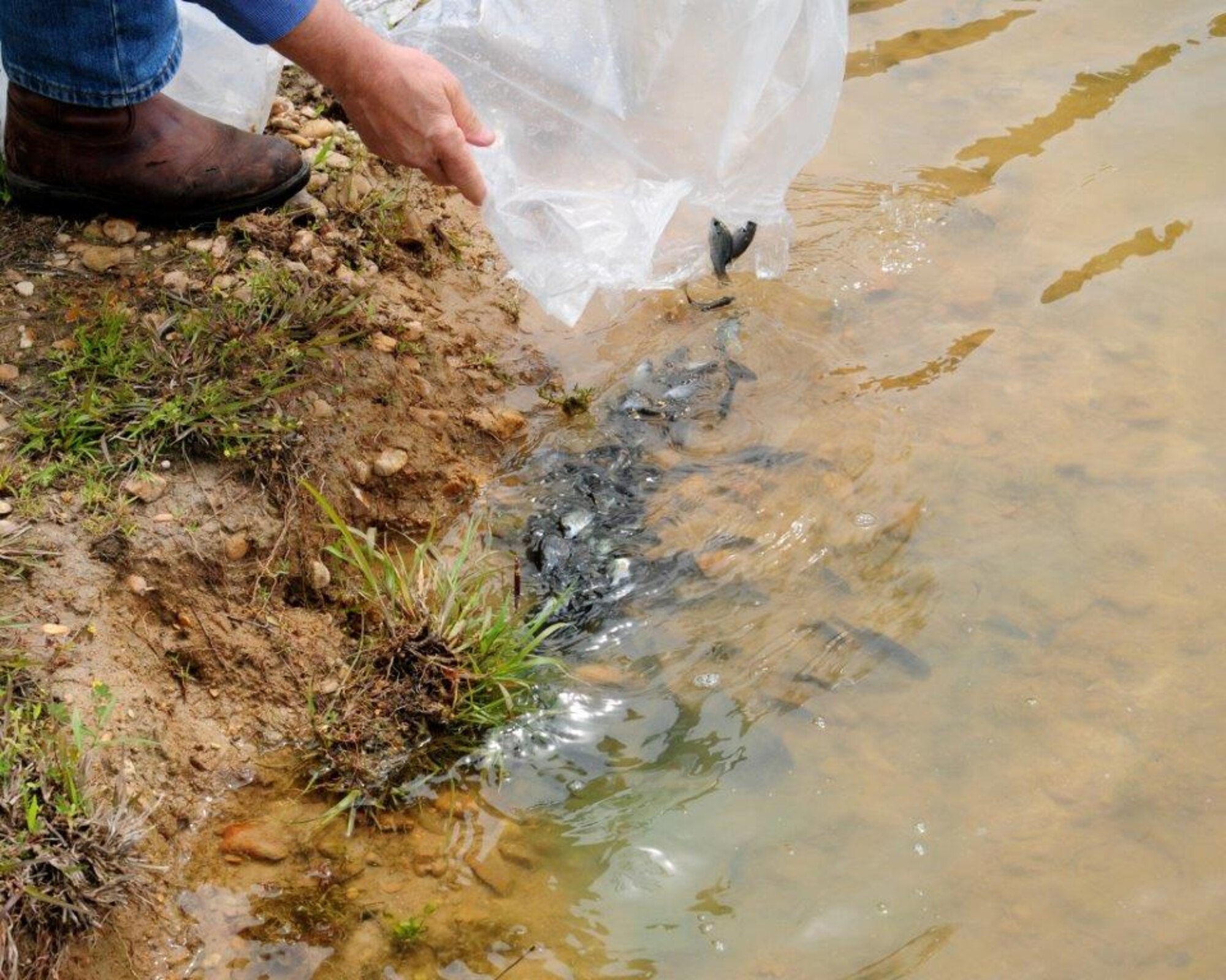 SAC Lake is stocked with catfish, brim and bass for personnel to fish. With the proper licenses, fishing is allowed year-round at SAC Lake. (Courtesy photo/Frank Lockhart)