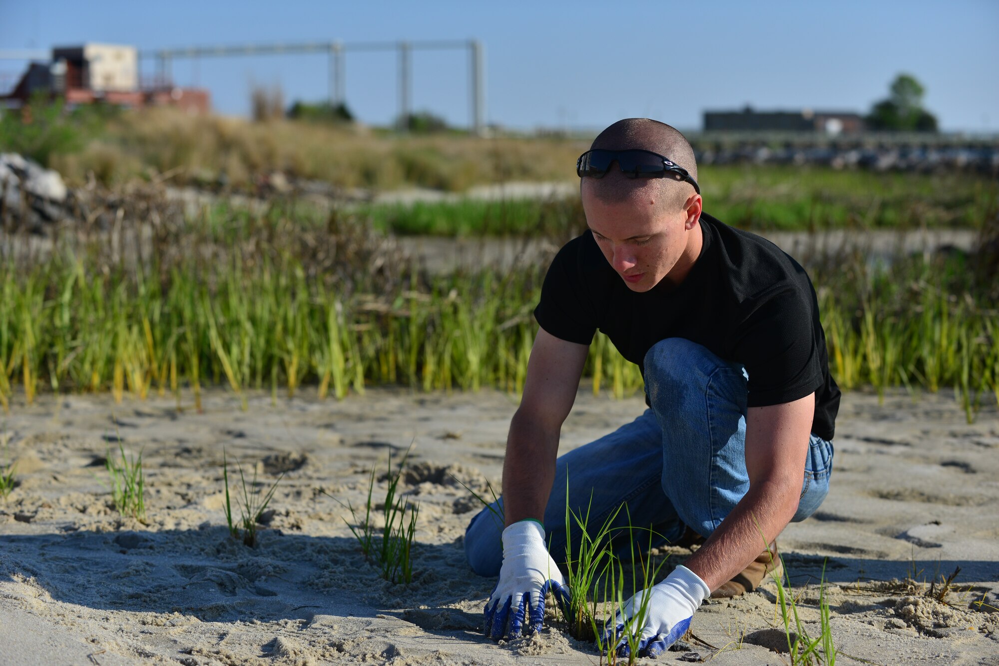 U.S. Air Force Senior Airman Tyler Green, 633rd Civil Engineer Squadron heating, ventilation, air conditioning technician, plants marsh grass during the shoreline planting event as part of Earth Week at Langley Air Force Base, Va., April 24, 2015. Langley Airmen also cleaned the area of debris and dead vegetation to repair the shoreline. Throughout the week, Joint Base Langley-Eustis hosted educational and restorative environmental events. (U.S. Air Force photo by Staff Sgt. Natasha Stannard/Released)