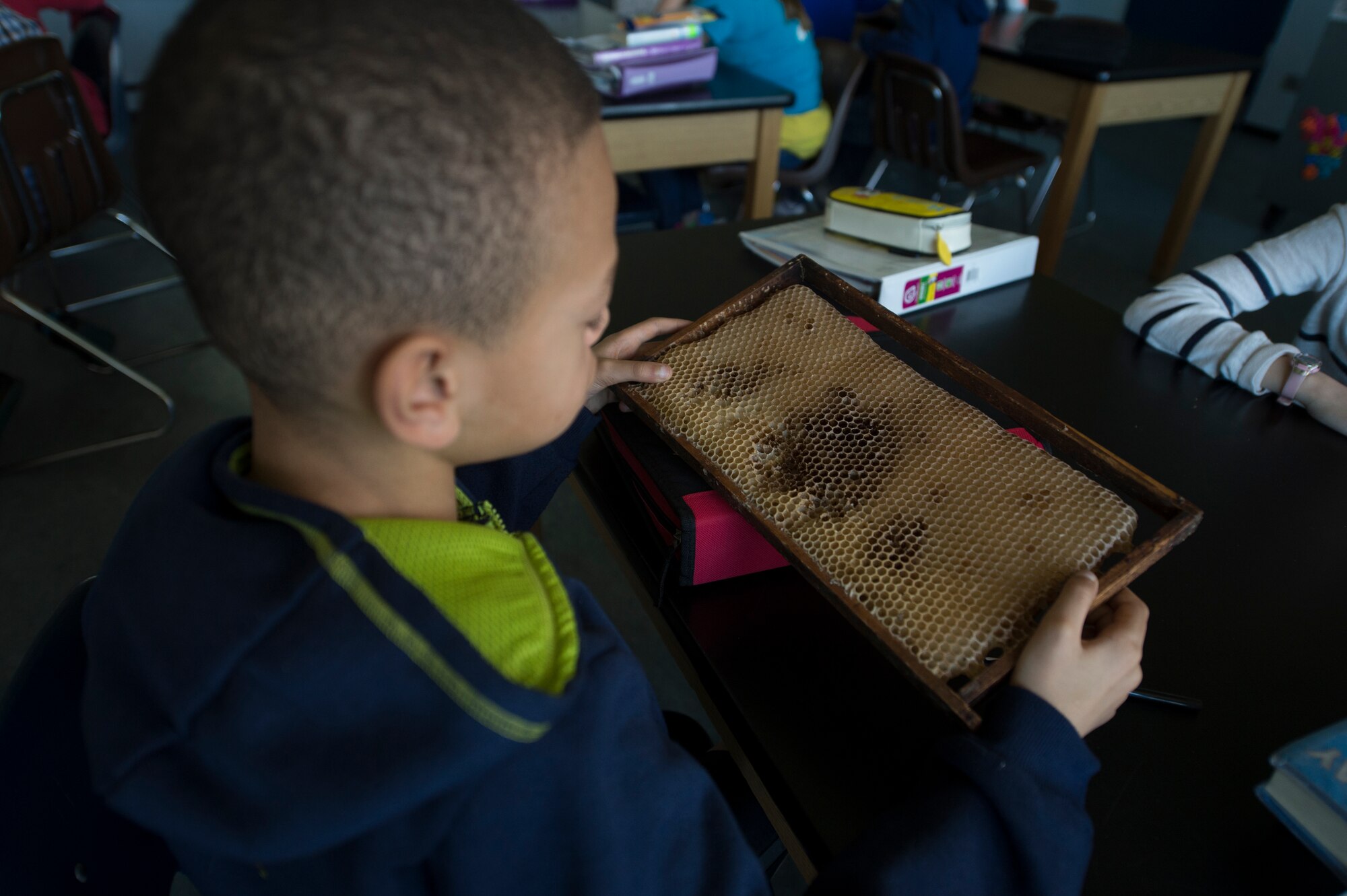A Spangdahlem Middle School student examines a honey bee tray during an Earth Day classroom presentation by the 52nd Civil Engineer Squadron environmental element, April 22, 2015, at Spangdahlem Air Base, Germany.  The classes informed the students on conservation projects on base and around the world ensuring wildlife protection. (U.S. Air force photo by Staff Sgt. Christopher Ruano/Released)