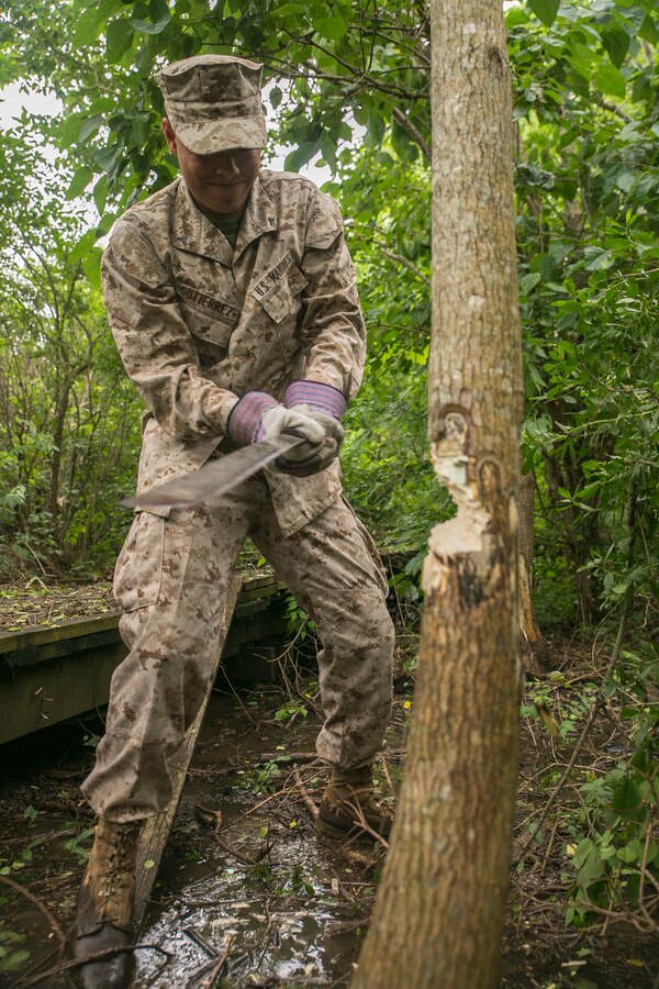 Lance Cpl. Mark Anthony Gutierrez, an administration specialist with the 22nd Marine Expeditionary Unit (MEU), cuts into a Chinese tallow tree during an environmental recovery community relations event at Joe Brown Park in New Orleans during Navy Week 2015, April 28. U.S. Marines and U.S. Navy Sailors with the 22nd MEU of Camp Lejeune, N.C., participated in New Orleans Navy Week from April 23-28. The purpose of Navy Week is to showcase the strength and capabilities of the Navy-Marine Corps team through tours, static displays and community relations events, providing the public the opportunity to meet and interact with Marines and Sailors. (U.S. Marine Corps photo by Sgt. James R. Smith/Released) 