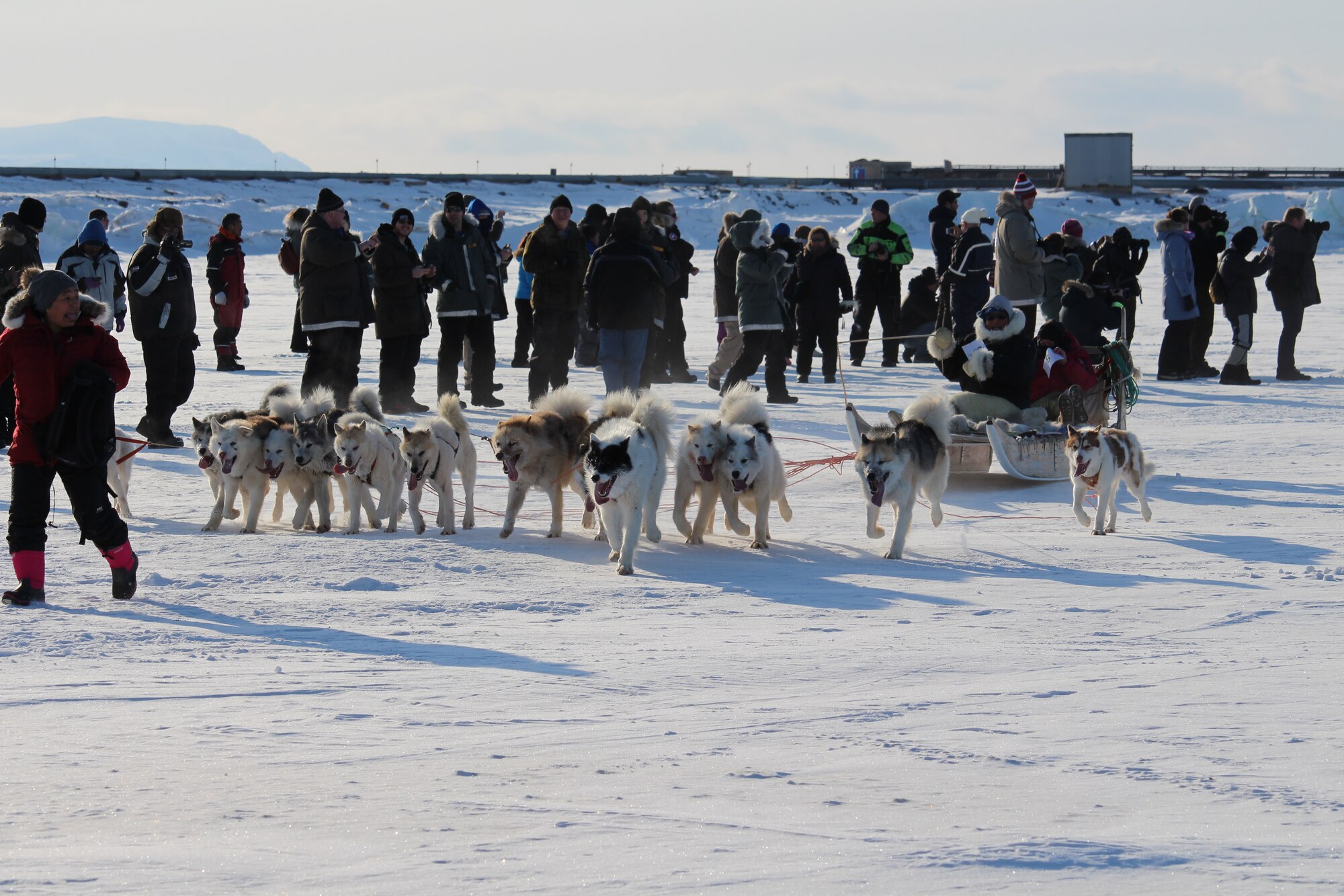 THULE AIR BASE, Greenland – Greenlandic dogsled teams race to the finish line during the Thule Armed Forces Day celebration April 5, 2015. Armed Forces Day is an annual event where Thule AB opens its gates to promote interaction and a cultural learning experience with local Greenlandic villagers through dogsled races, craft sales, a buffet at the Top of the World Club and a chance for a ride in an Air Greenland helicopter. (U.S. Air Force by 1st Lt. Alexandra Swanson)  