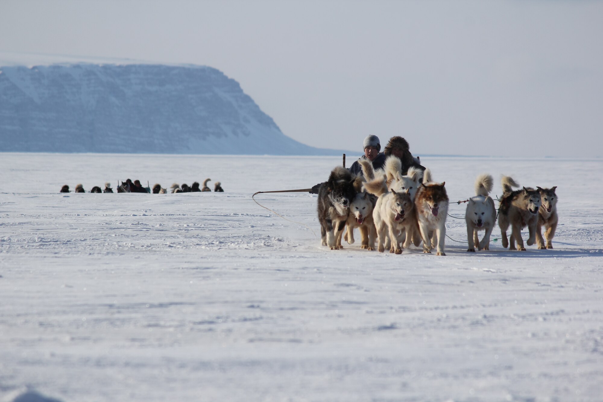 THULE AIR BASE, Greenland – Greenlandic dogsled teams race to the finish during the Thule Armed Forces Day celebration April 5, 2015. Armed Forces Day is an annual event where Thule AB opens its gates to promote interaction and a cultural learning experience with local Greenlandic villagers through dogsled races, craft sales, a buffet at the Top of the World Club and a chance for a ride in an Air Greenland helicopter. (U.S. Air Force photo by 1st Lt. Alexandra Swanson)  