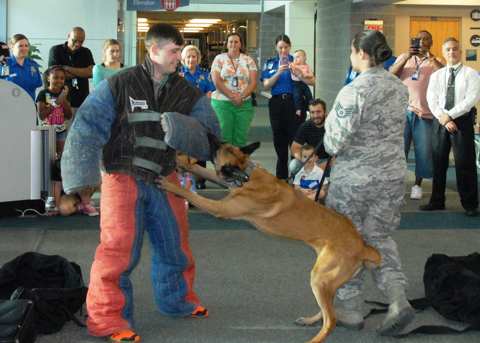Staff Sgt. Matthew Helma, a 96th Security Forces Squadron military working dog handler from Eglin Air Force Base, Fla., is restrained by Arko while wearing a controlled aggression suit, to simulate to on-looking children and parents how a dog captures a fleeing suspect, during a K-9 explosives/narcotics detection demonstration, at the “Take Our Daughters and Sons To Work Day” event April 23 at the Destin/Fort Walton Beach Airport.  Staff Sgt. Tatiana Carbocci, another Eglin MWD handler, held Arko’s leash.  Among the visuals SFS provided were: exploration of police cars and prohibited items static displays; an x-ray with prohibited items demonstration; and explosives detection systems and checked baggage explosive detection systems tours.  (U.S. Air Force photo/Kevin Gaddie)
