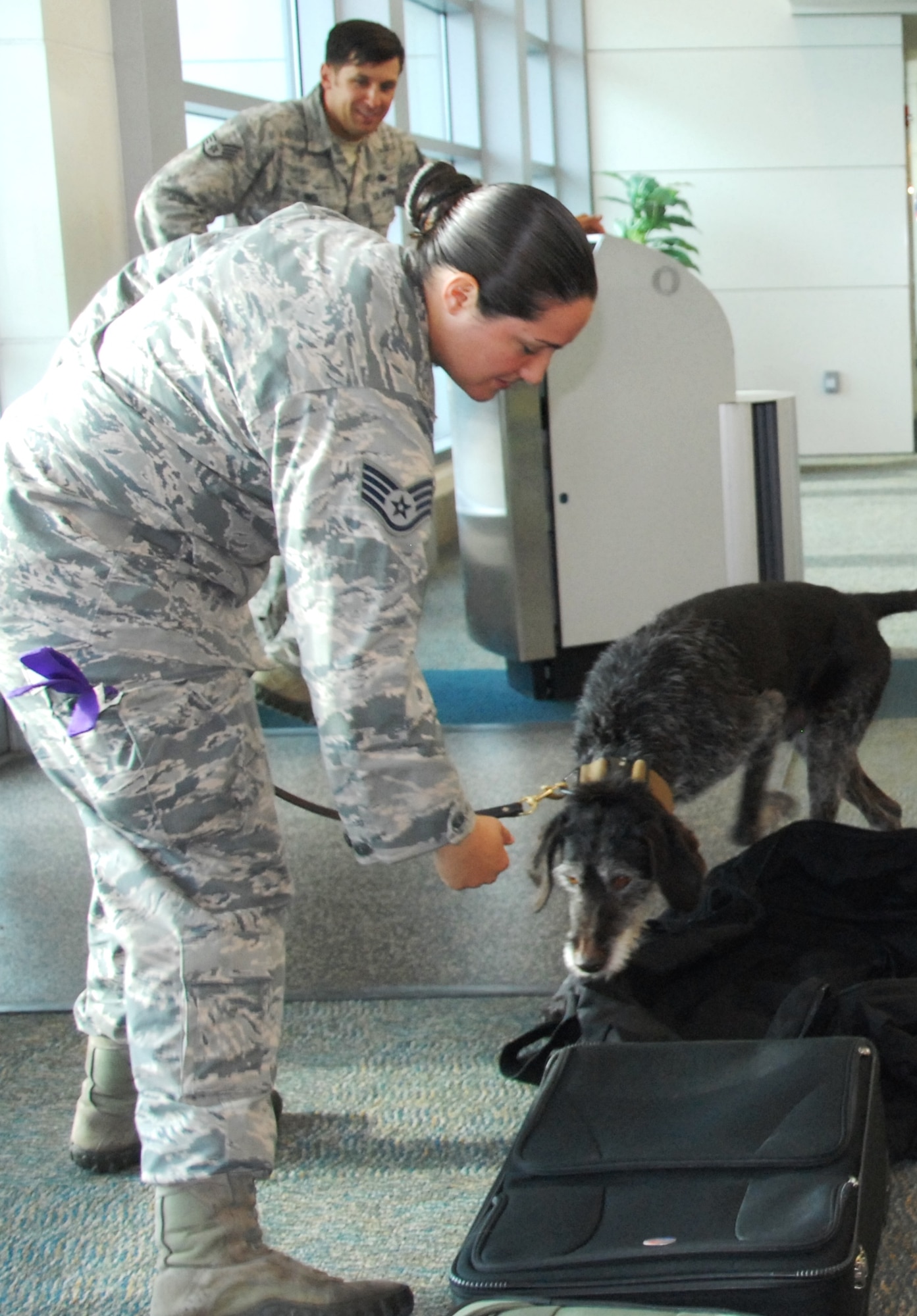 Staff Sgt. Tatiana Carbocci, a 96th Security Forces Squadron military working dog handler from Eglin Air Force Base, Fla., guides Kanjer as he sniffs baggage during a K-9 explosives/narcotics detection demonstration, as Staff Sgt. Jeremy Rice, another Eglin MWD handler, watches at the “Take Our Daughters and Sons To Work Day” event April 23 at the Destin/Fort Walton Beach Airport.  Among the visuals SFS provided were: exploration of police cars and prohibited items static displays; an x-ray with prohibited items demonstration; and explosives detection systems and checked baggage explosive detection systems tours.  (U.S. Air Force photo/Kevin Gaddie)
