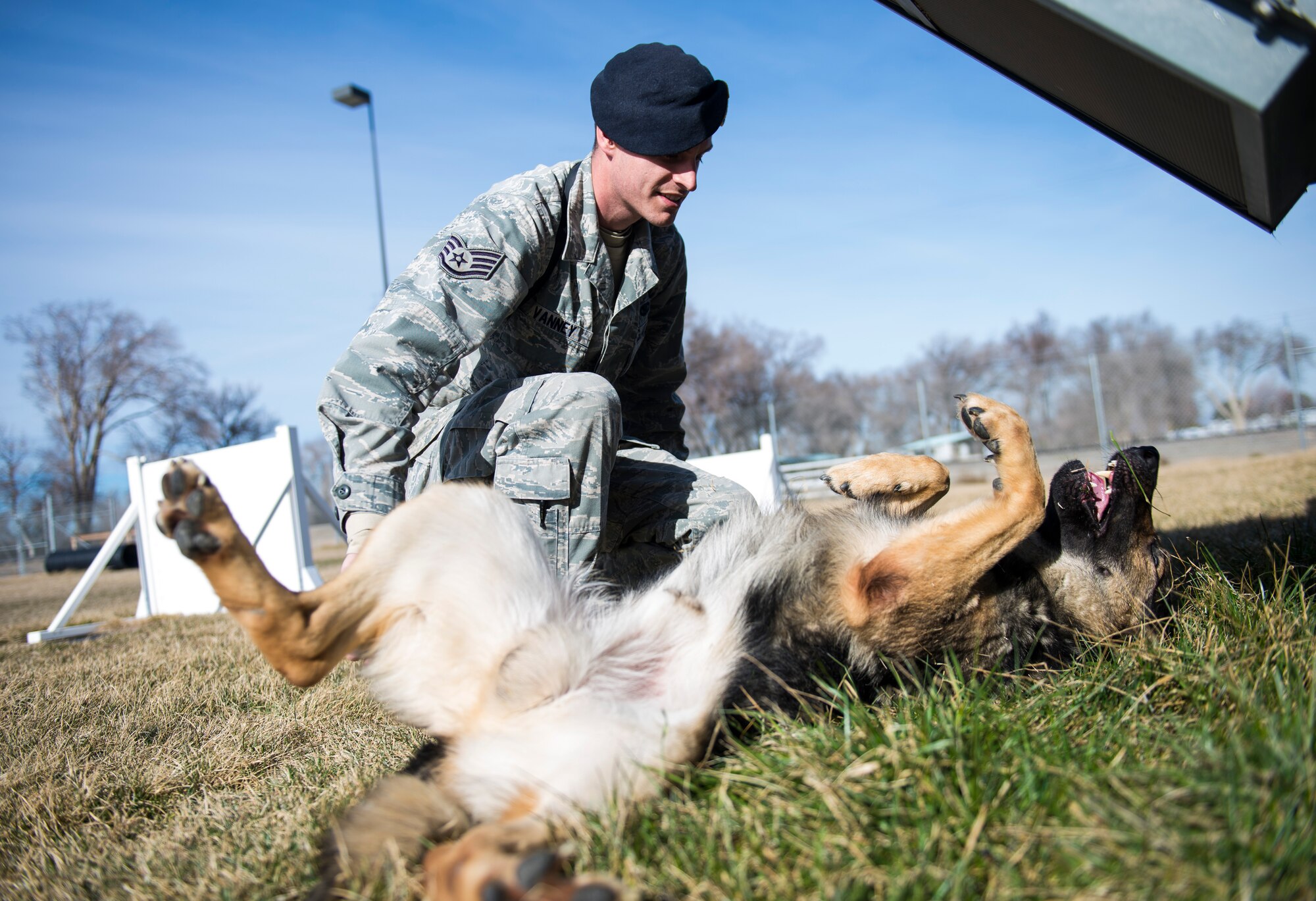 Staff Sgt. Benjamin Vanney, 366th Security Forces Squadron military working dog handler, plays with military working dog Ronny, Feb. 24, 2015, at Mountain Home Air Force Base, Idaho. Vanney and Rony have already started to form a bond after only knowing each other for a week. (U.S. Air Force photo by Senior Airman Malissa Lott/RELEASED)