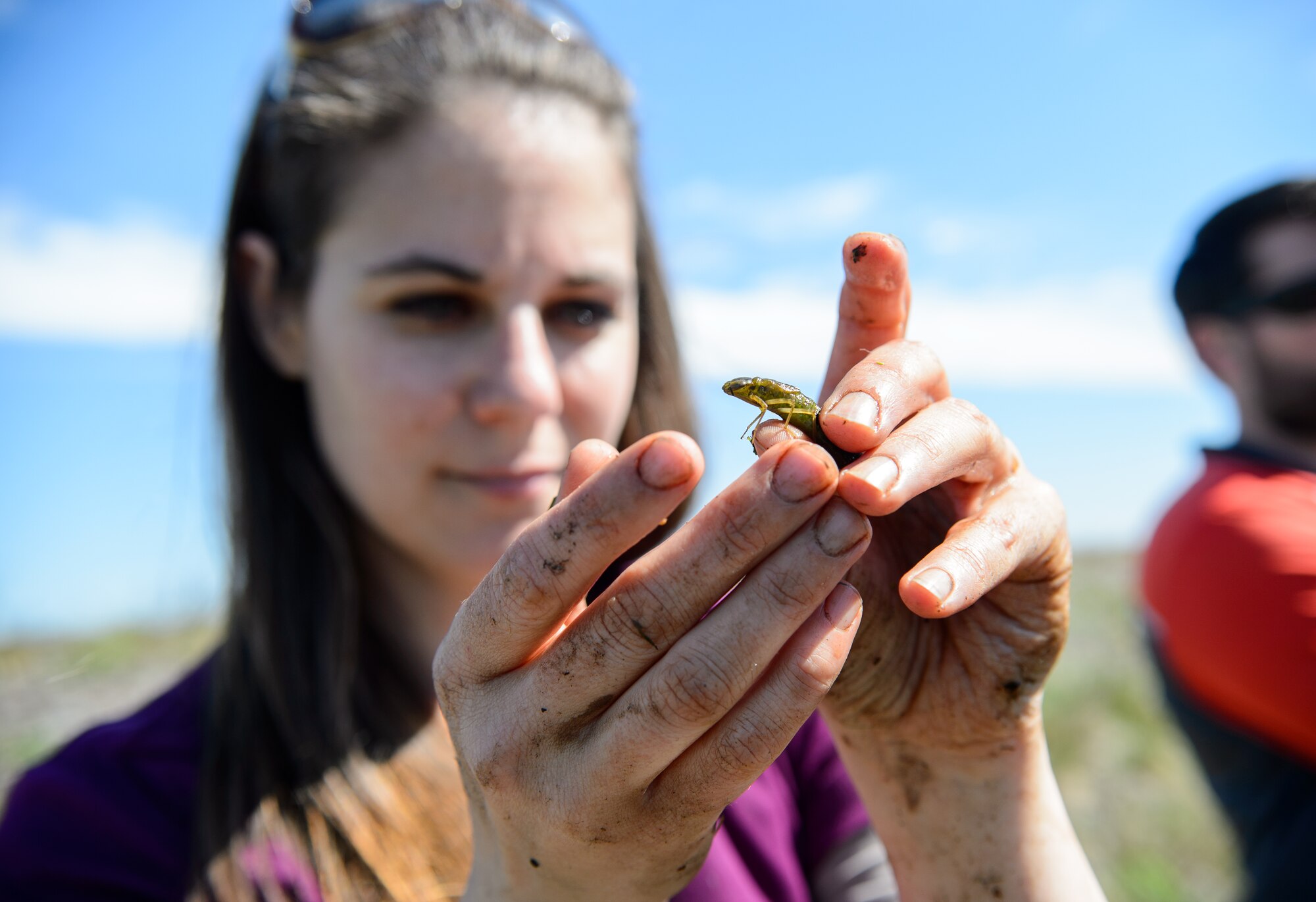 Susanne Panzer, 86th Civil Engineer Squadron natural scientist and biological geographer, examines a larva April 22, 2015, near a pond at Ramstein Air Base, Germany. The 86th CES ensures Ramstein protects the local environment through surveys and cause-and-impact studies in and around the base. (U.S. Air Force photo/Staff Sgt. Armando A. Schwier-Morales)