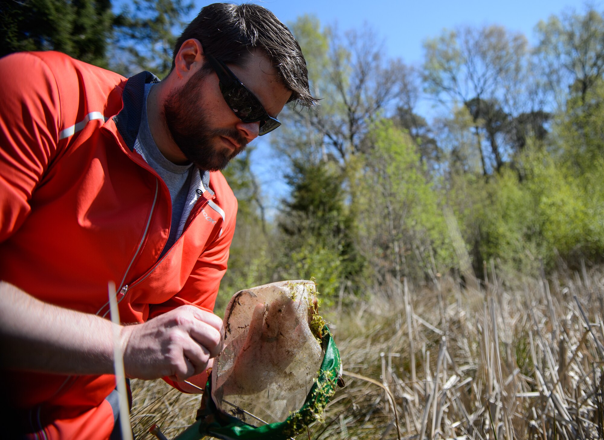 Joashua Lee, 86th Civil Engineer Squadron environmental management intern, looks for amphibians in a net April 22, 2015, at Ramstein Air Base, Germany. Lee helped conduct an amphibian survey to ensure the base has an accurate picture of the species within the fence line. (U.S. Air Force photo/Staff Sgt. Armando A. Schwier-Morales) 