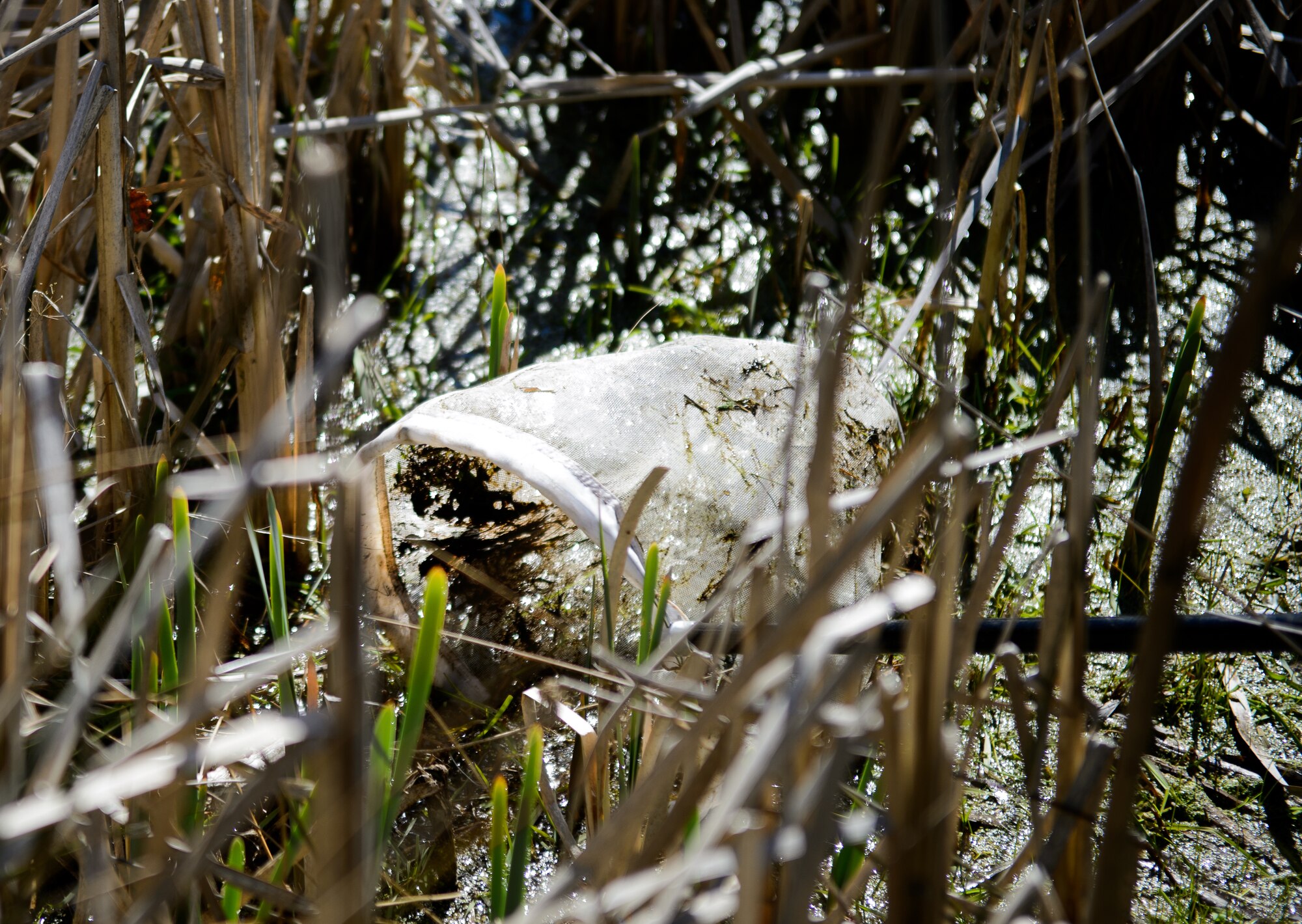 Members of the 86th Civil Engineer Squadron search a wetland for life April 22, 2015, at Ramstein Air Base, Germany. The 86th CES conducted a survey of the wildlife and their habitats to determine Ramstein’s  impact on the environment and natural habitats on the installation. (U.S. Air Force photo/Staff Sgt. Armando A. Schwier-Morales) 