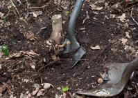 Dan Tavares, husband of Senior Airman Tiffany Tavares, 436th Comptroller Squadron financial technician, center, and Senior Airman Stanley Wilson, 436th CPTS financial technician, remove a tree stump during a trail blazing and reforestation event April 25, 2015, at Browns Branch County Park in Harrington, Del. This event was held in conjunction with Earth Day. (U.S. Air Force photo/Airman 1st Class Zachary Cacicia)