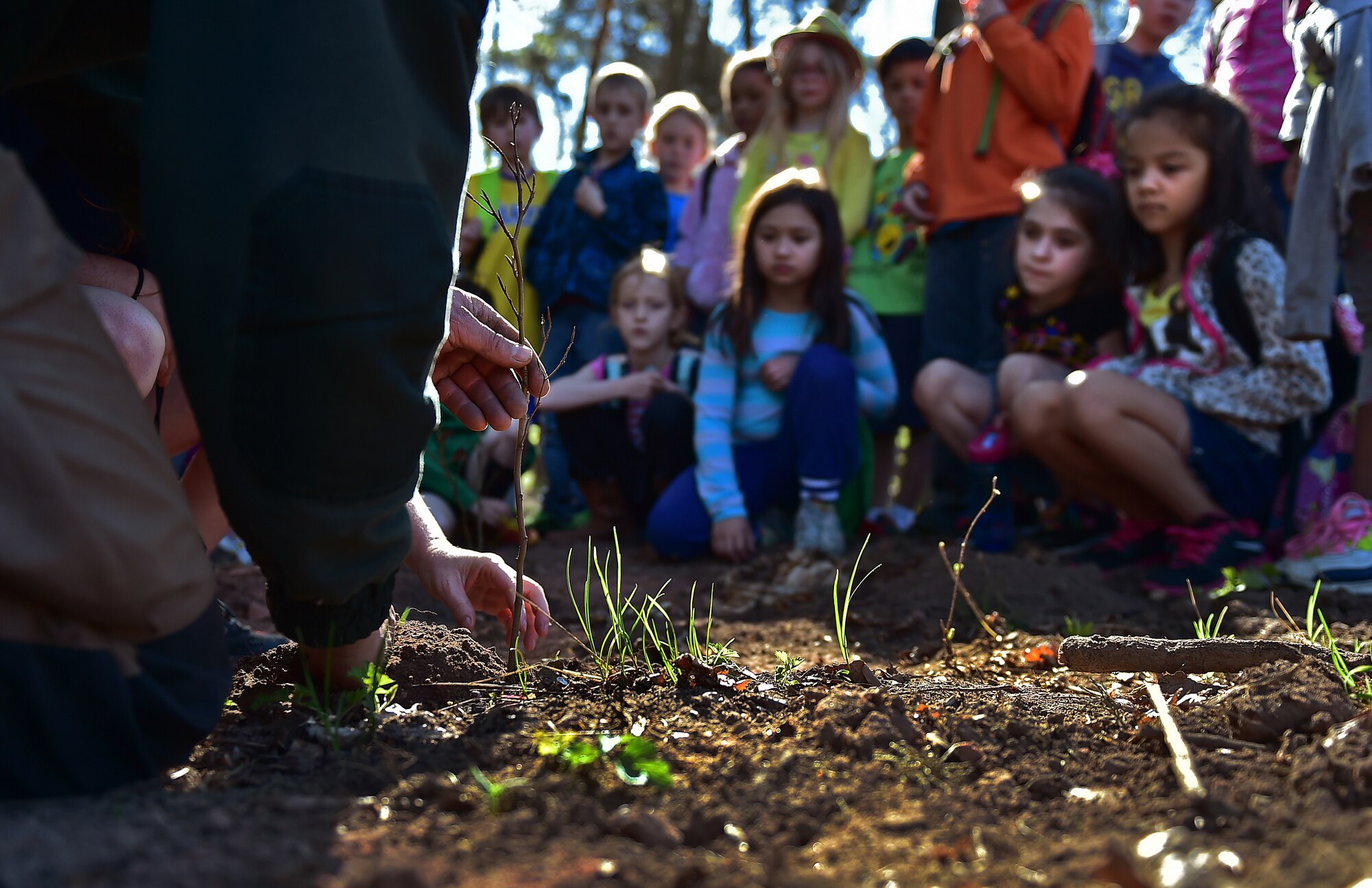 Ulrich Knuff, Ramstein forester, explains the importance of keeping the roots of a young tree moist while re-planting to a group of children from the Ramstein Elementary School April 22, 2015, at Ramstein Air Base, Germany. Knuff helped the group of second graders plant more than 100 trees as part of Earth Day 2015. The class also worked with the Boy and Girl Scouts of the United States of America to clean road borders leading to Ramstein. (U.S. Air Force photo/Staff Sgt. Sara Keller)