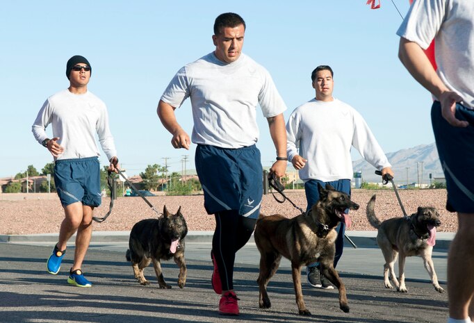 Military working dog handlers and their companions, all assigned to the 99th Security Forces Squadron, participate in the Break the Silence 5K at Nellis Air Force Base, Nev., April 17, 2015. The Family Advocacy Program office provided information on Child Abuse Awareness Month, while the Sexual Assault Response Coordinator highlighted Sexual Assault Prevention Month, and the Alcohol and Drug Abuse Prevention and Treatments program highlighted Alcohol Awareness Month. (U.S. Air Force photo by Airman 1st Class Mikaley Towle) 