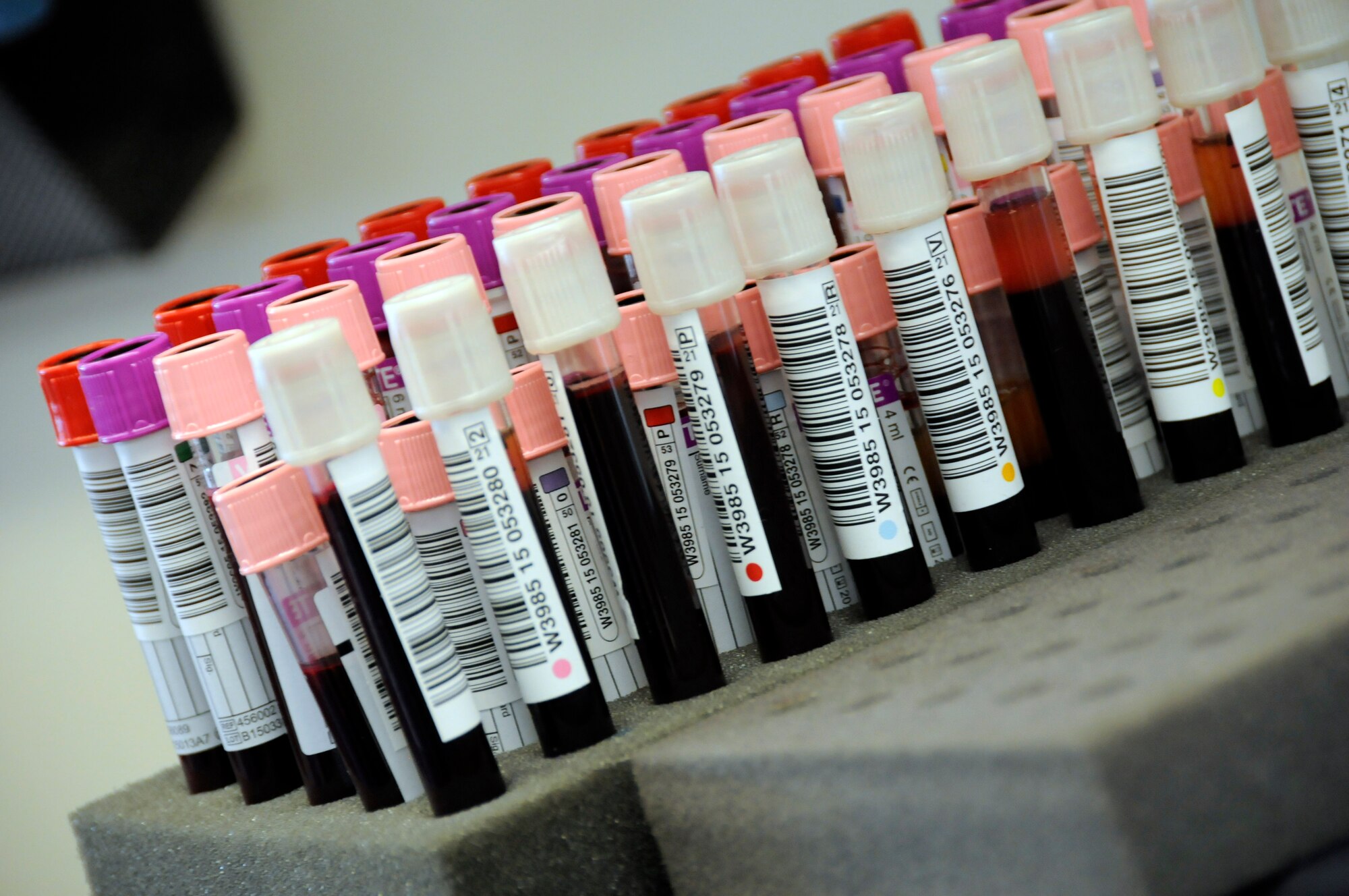 Vials of blood donated by airmen from the 145th Airlift Wing during a blood drive held at the North Carolina Air National Guard base, Charlotte Douglas Intl. Airport, sit waiting to be tested by Community Blood Center of the Carolinas.  About a dozen tests are performed on each vial to establish blood type and to test for infectious diseases. The blood donated by airmen at CBCC stays in the community helping patients in local hospitals. (U.S. Air National Guard photo by Master Sgt. Patricia F. Moran, 145th Public Affairs/Released)