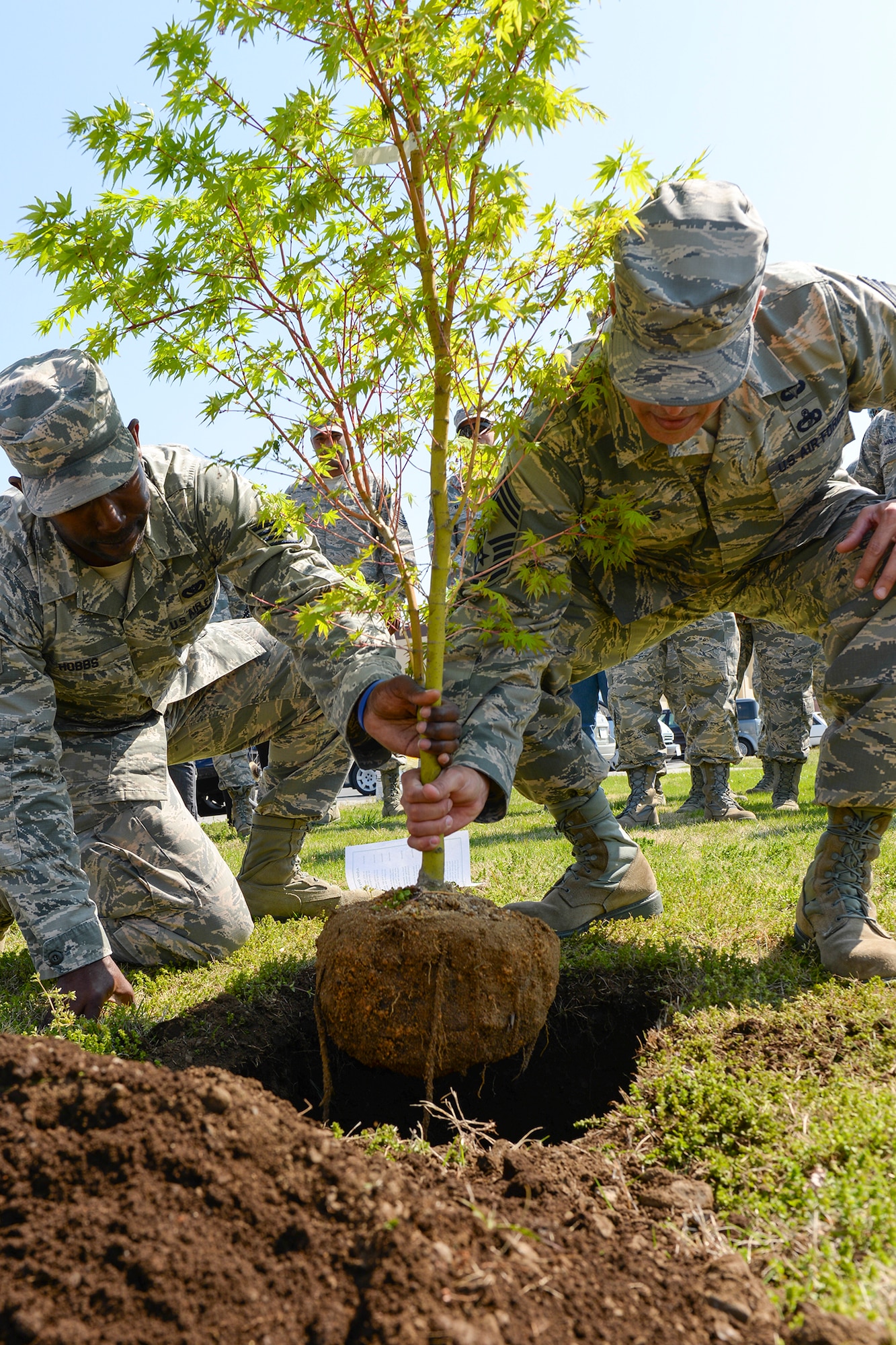 Staff Sgt. Marques Hobbs and Chief Master Sgt. David Matos place one of three young trees in the ground in observance of Arbor Day during a celebration of Earth Week April 23, 2015, at Yokota Air Base, Japan. The significance of the ceremony brought people together, including U.S. and Japanese community members, to tie relations and encourage individuals to care for their environment. (U.S. Air Force photo by Airman 1st Class Elizabeth Baker/Released)
