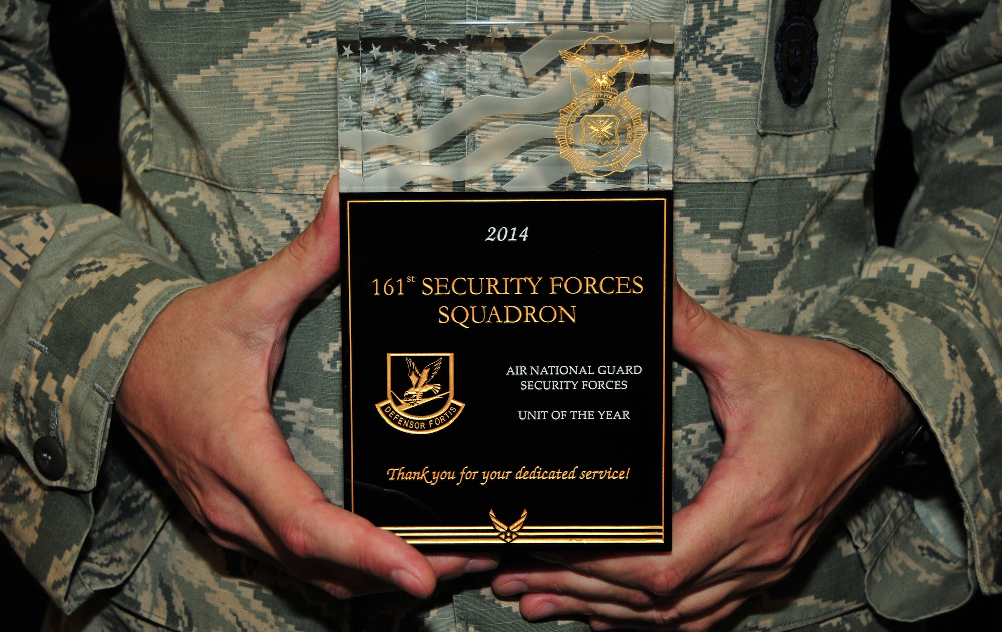 The 161st Security Forces Squadron is awarded the Air National Guard Security Forces Squadron of the Year for 2014 at the Phoenix Air National Guard Base, Aug. 1. “Your nomination package showed us you are a well-rounded unit. You are very active in your federal mission, fully engaged in your state, and committed to your community. In other words, you’re an outstanding example of what the Air National Guard is all about and we are very proud of you,” said Chief Master Sgt. Todd Miskelly, Air National Guard Security Forces career field manager. (U.S. Air National Guard photo by Tech. Sgt. Courtney Enos)