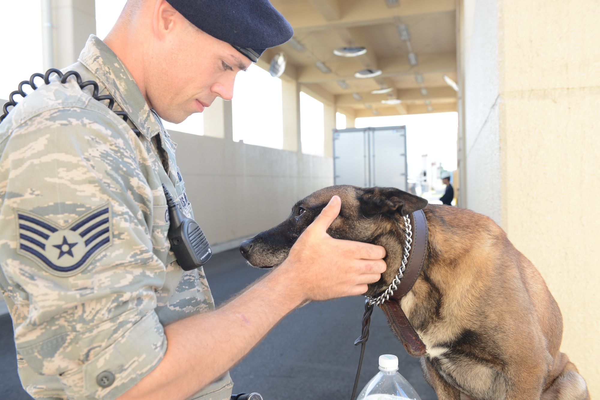 Staff Sgt. Nicholas Galbraith, 374th Security Forces Squadron military working dog handler, praises his MWD partner, Topa, after performing vehicle checks at Yokota Air Base, Japan, July 24, 2015. Positive reinforcement is one of the primary means of training MWDs and encouraging good behavior. (U.S. Air Force photo by Airman 1st Class David C. Danford/Released)