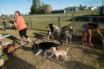 Dogs swarm the entrance of the dog park to greet new dogs at Minot Air Force Base, N.D., July 29, 2015. Dog owners can bring their pets to the park for exercise and to socialize with other dogs. (U.S. Air Force photo/Airman 1st Class Christian Sullivan)