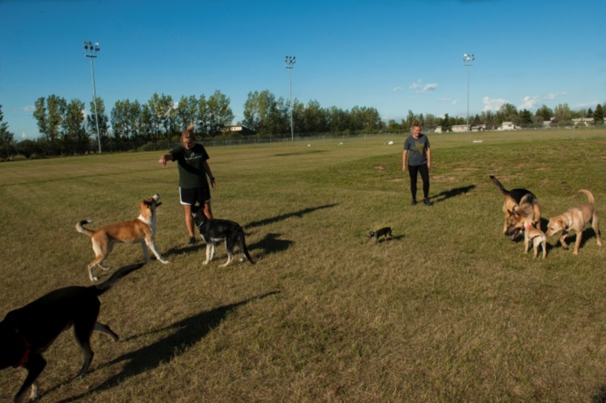 Minot Airmen play with their dogs and others at the new dog park at Minot Air Force Base, N.D., July 29, 2015. The dog park provides open space for base personnel’s family dogs to exercise. (U.S. Air Force photo/Airman 1st Class Christian Sullivan)