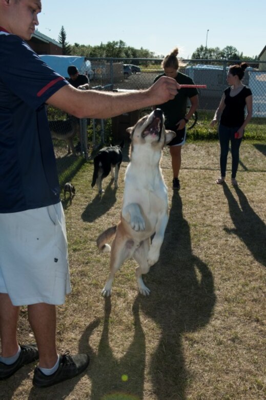 Dog days of summer > Minot Air Force Base > Article Display