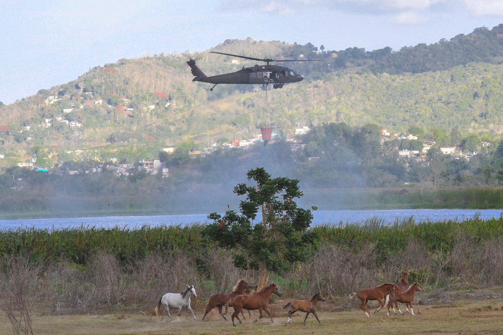 Helicopter from the Puerto Ricn National Guard assists in the fight against wildfire that was endangering animals and people on the island.