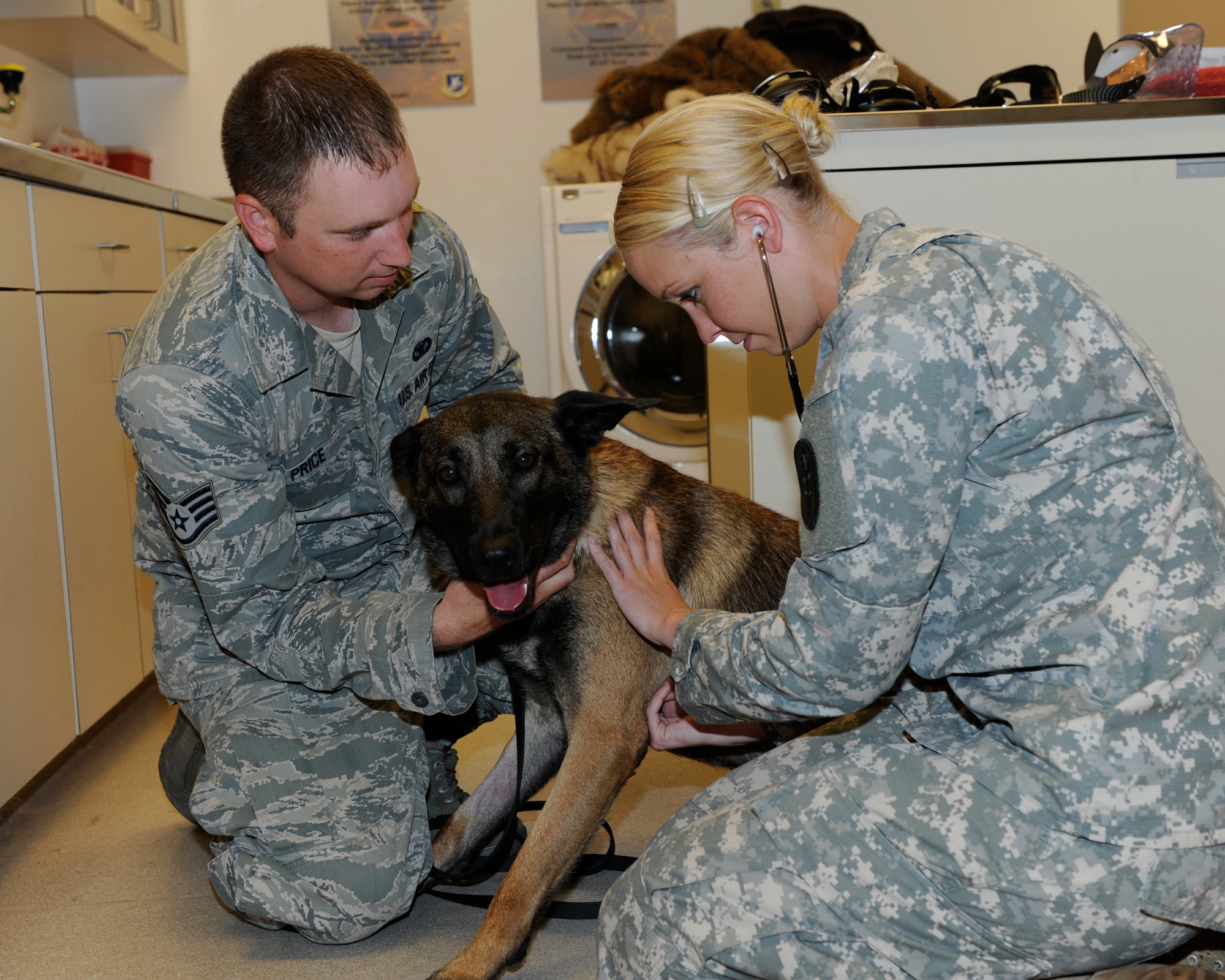 Staff Sgt. Matthew Price, 14th Security Forces Squadron Military Working Dog Handler, holds and comforts Dito while U.S. Army Capt. Teri Vaughn, formerly the Redstone Arsenal Veterinary Services Officer in Charge, checks vitals July 10 at Columbus Air Force Base, Mississippi. Vaughn took responsibility for the medical deployment readiness of Columbus AFB’s six Military Working Dogs in January 2014, and was reassigned to a location in Italy in July 2015. (U.S. Air Force photo/Elizabeth Owens)