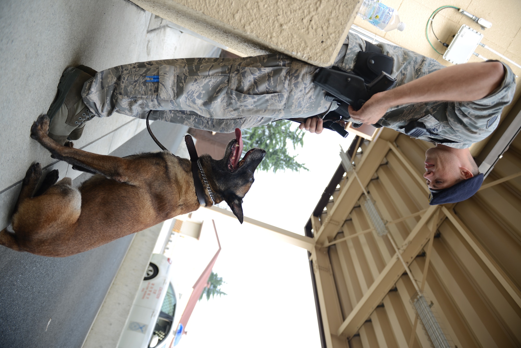 Staff Sgt. Nicholas Galbraith, 374th Security Forces Squadron military working dog handler, communicates with his MWD using simple commands and body language at Yokota Air Base, Japan, July 29, 2015. According to Galbraith, consistency is key when training MWDs. (U.S. Air Force photo by Senior Airman David C. Danford/Released)