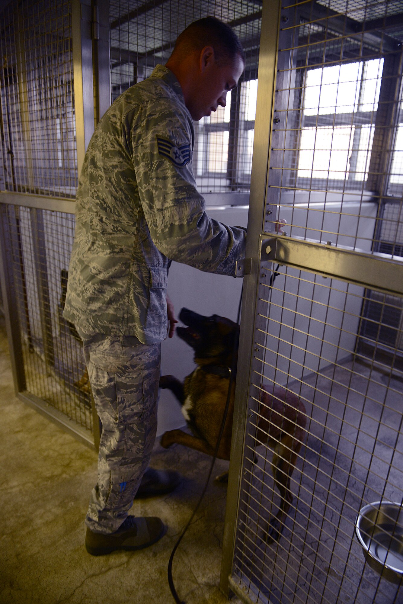 Staff Sgt. Nicholas Galbraith, 374th Security Forces Squadron military working dog handler, begins his workday by greeting his partner, Topa, at Yokota Air Base, Japan, July 29, 2015. Handlers retrieve their canine partners before checking out his protective gear or attending guard mount each morning. (U.S. Air Force photo by Senior Airman David C. Danford/Released)