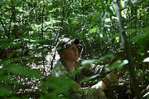 Staff Sgt. Zachariah Angel, Survival, Evasion, Resistance and Escape (SERE) operations craftsman with the 910th Operations Support Squadron, builds a demonstration survival shelter here, July 31, 2015. Angel led approximately ten aircrew members in a combat survival skills training course at Camp Ravenna Joint Military Training Center. The course is a triennial requirement for aircrew members and provides skills for surviving, evading capture, resisting the enemy and escaping a hostile environment. (U.S. Air Force photo/Eric M. White)