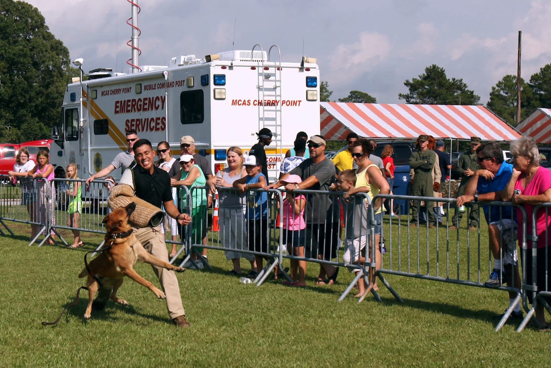 Cpl. Danny Novondo is bit by a military dog for demonstration purposes during National Night Out at Walter B. Jones Park in Havelock, North Carolina, Aug. 2015. National Night Out is an event held across the country that began in 1984 to strengthen police-community partnerships and generate support for local anticrime efforts while sending a message to criminals, letting them know neighborhoods are organized and fighting back.