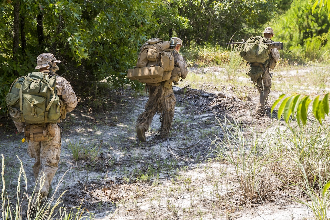 Marines in the Scout Sniper Platoon with 2nd Battalion, 2nd Marine Regiment, conduct a patrol during SSP training aboard Camp Lejeune, N.C., July 29, 2015. Scout Snipers with the battalion excel in conducting their mission set by being highly skilled in marksmanship and delivering long-range precision fire on selected targets from concealed positions. (U.S. Marine Corps photo by Cpl. Krista James/Released)