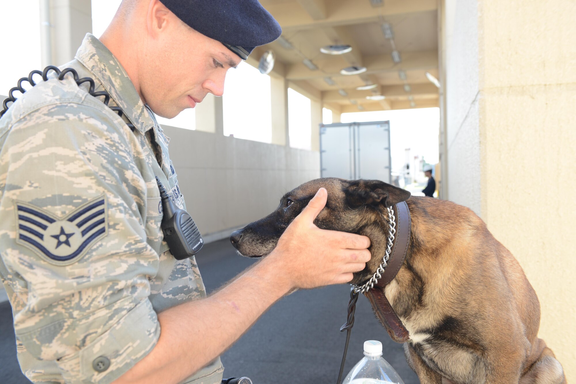 Staff Sgt. Nicholas Galbraith, a 374th Security Forces Squadron military working dog handler, praises his MWD partner, Topa, after performing vehicle checks at Yokota Air Base, Japan, July 24, 2015. Positive reinforcement is one of the primary means of training MWDs and encouraging good behavior. (U.S. Air Force photo/Airman 1st Class David C. Danford)
