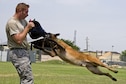 Tech. Sgt. Shawn Rankins and military working dog Eespn demonstrate aggression training Aug. 4, 2015, at Sheppard Air Force Base, Texas. Aggression training keeps the working dogs proficient on protecting their handler and other personnel from dangerous suspects while conducting routine police work. Rankins and Eespin are assigned to the 82nd Security Forces Squadron. (U.S. Air Force photo/Danny Webb)