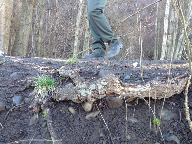 For safety, the Corps proposes to remove woody vegetation from the landward side of the levees, beginning in October 2015. The maintenance is being proposed in order to meet National Levee Safety Program maintenance requirements in accordance with U.S. Army Corps of Engineers Headquarters regulations and policies.