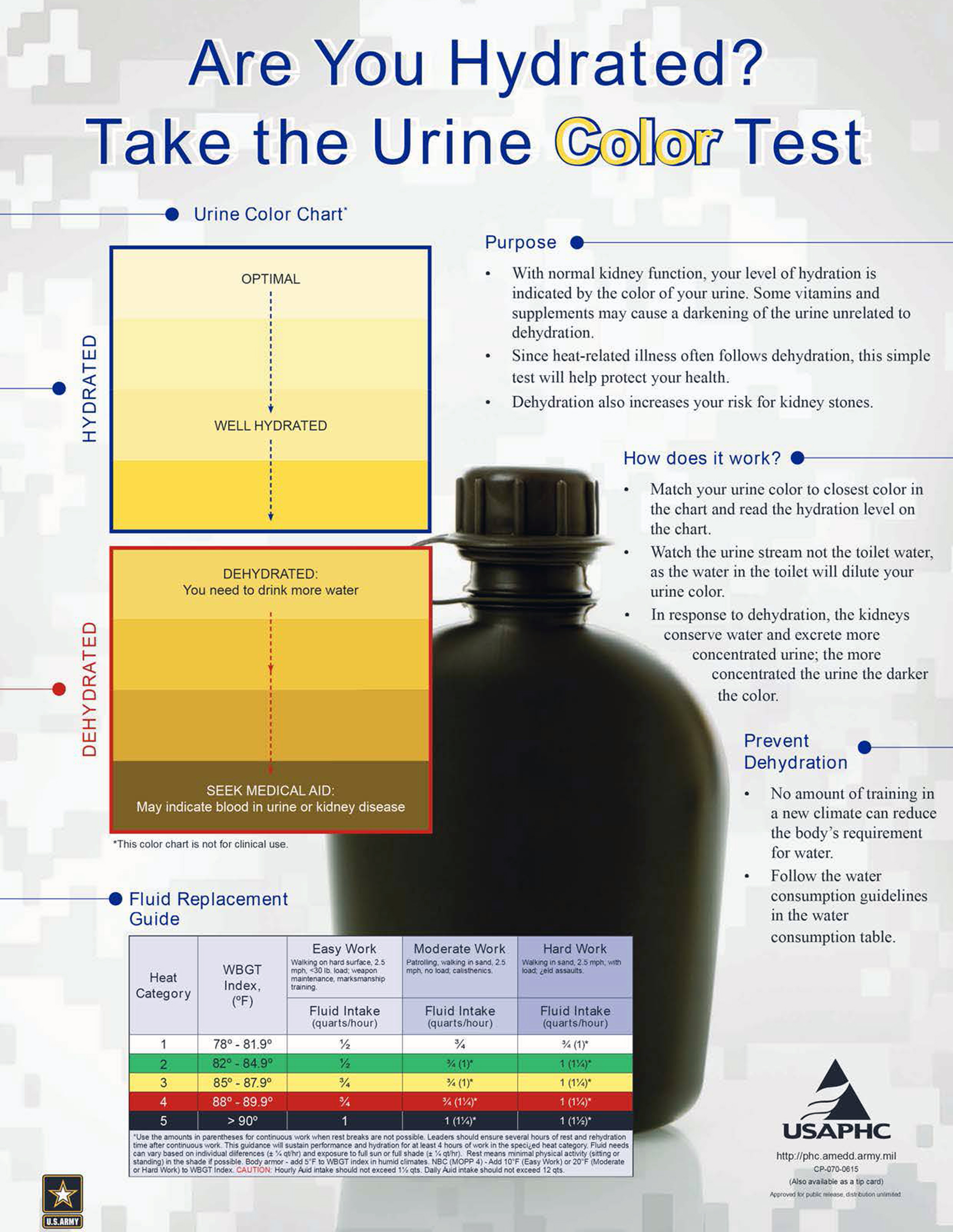 Urine Color