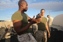 Marines with 1st Marine Regiment, 1st Marine Division, practice disarming enemy combatants on an early morning at Camp Wilson aboard Marine Corps Ground Air Combat Center Twentynine Palms, Calif., Aug. 7, 2015. While the Marines are here for various training exercises, they use their limited off time to improve themselves in the Marine Corps Martial Arts Program and ensure they are prepared for anything that may come their way.
