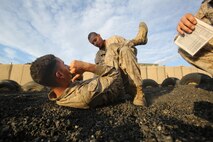 Marines with 1st Marine Regiment, 1st Marine Division, practice ground fighting techniques on an early morning at Camp Wilson aboard Marine Corps Ground Air Combat Center Twentynine Palms, Calif., Aug. 7, 2015. While the Marines are here for various training exercises, they use their limited off time to improve themselves in the Marine Corps Martial Arts Program and ensure they are prepared for anything that may come their way.