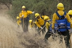California National Guard Soldiers from the 578th Brigade Engineer Battalion, 79th Infantry Brigade Combat Team, from Manhattan Beach,  and the 1st Squadron, 18th Cavalry, 79th IBCT, from Azusa, practice wildfire hand crew techniques with instructors from the California Department of Forestry and Fire Protection (CAL FIRE) at Camp Roberts, Aug. 4, 2015. This was the final phase of a three-day training event preparing the Soldiers to participate in fire fighting efforts in northern California. 