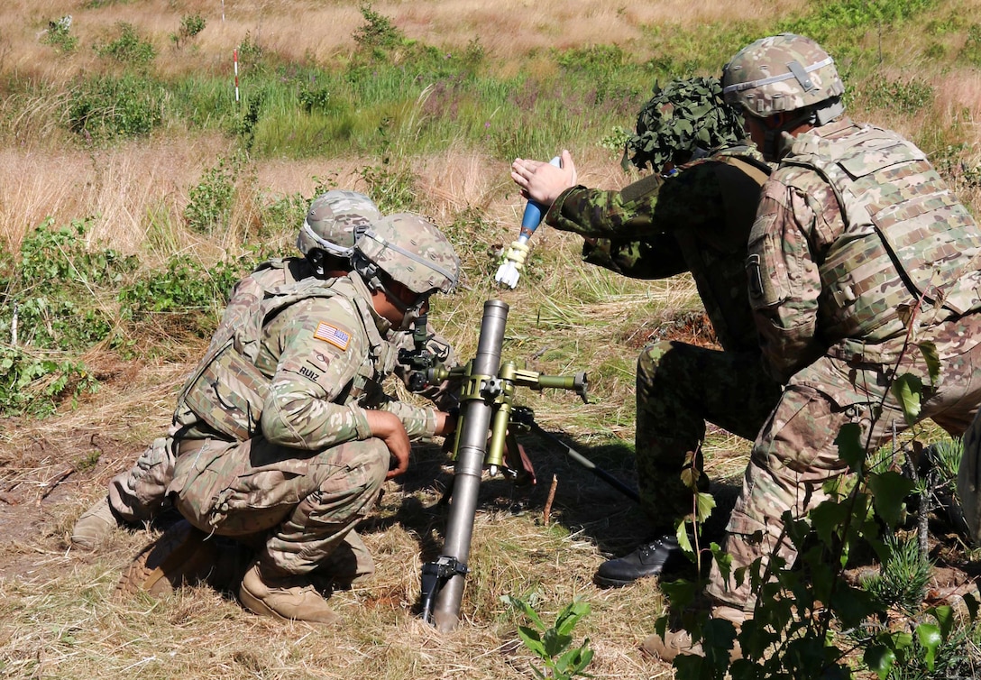 U.S  soldiers instruct an Estonian soldier on how the mortar system operates during a live-fire exercise as part of Operation Atlantic Resolve in Estonia, Aug. 7, 2015. 