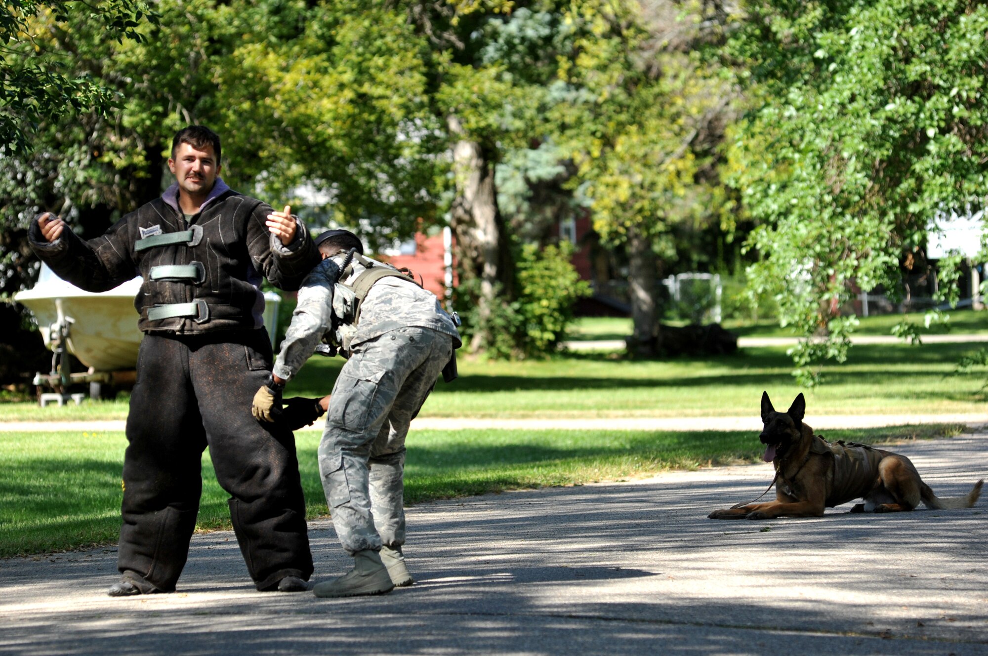 Staff Sgt. Brandon Miller, 319th Security Forces Squadron Military Working Dog handler, performs a search on Staff Sgt. Richard Lynn at the Emerado Corn Feed Aug. 8, 2015. Military Working Dog Zumba looks on, waiting for his cue to attack if the suspect becomes aggressive with his handler. The demonstration was an opportunity for Emerado community members to get a firsthand look at MWDs and handlers and ask questions. (U.S. Air Force photo/Staff Sgt. Susan L. Davis)