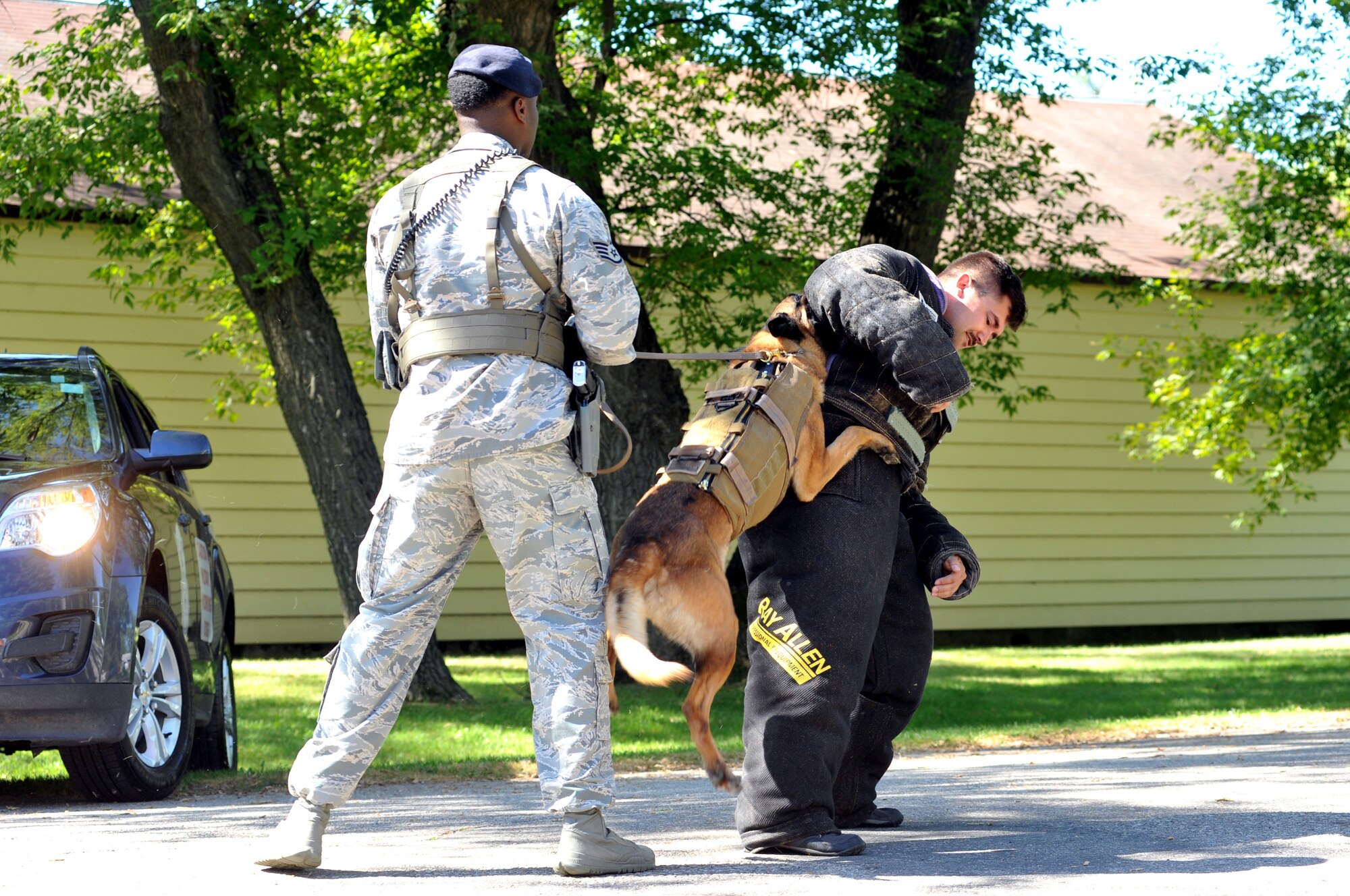 Staff Sgt. Brandon Miller, 319th Security Forces Military Working Dog handler, performs a MWD demonstration with his dog, Zumba, and Staff Sgt. Richard Lynn, Aug. 8, 2015, at the Emerado Corn Feed in Emerado, N.D. The demonstration was an opportunity for Emerado community members to get a firsthand look at MWDs and handlers and ask questions. (U.S. Air Force photo/Staff Sgt. Susan L. Davis)
