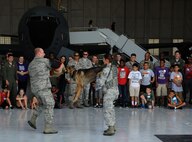 Members of the 22nd Security Forces Squadron demonstrate how military working dogs can be used to apprehend adversaries, Aug. 6, 2015, at McConnell Air Force Base, Kan. The demonstration was part of “Big for a Day,” an event in which McConnell Airmen spent time with and taught children from the local community about different jobs in the Air Force. (U.S. Air Force photo by Airman 1st Class Tara Fadenrecht) 