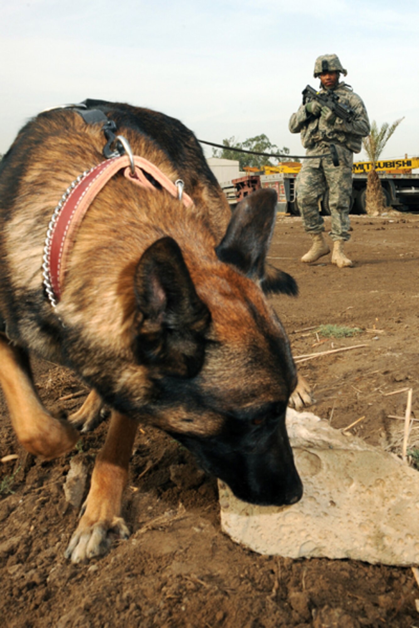 Senior Airman Mark Bush, Multinational Division Baghdad military working dog handler, and MWD Chukky search for explosives during a training session at Camp Victory, Iraq, Oct. 28, 2009. After being deployed twice together, Bush, now a staff sergeant with the 28th security forces squadron, adopted Chukky July 10, 2015, following four years of separation. (U.S. Air Force photo by Tech. Sgt. Johnny L. Saldivar/Released)